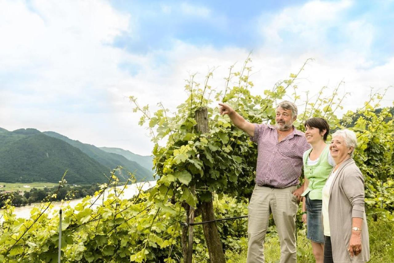 Weingut Und Ferienwohnung Pomassl Weissenkirchen in der Wachau Exterior photo